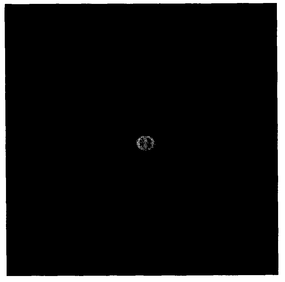 Method for preparing paramagnetic polyphosphazene nanotube magnetic resonance imaging contrast agent