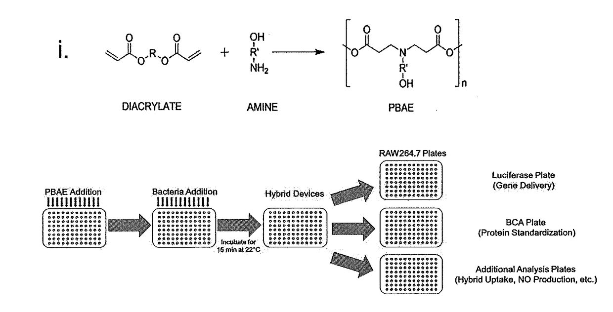 System and method for delivering genetic material or protein to cells