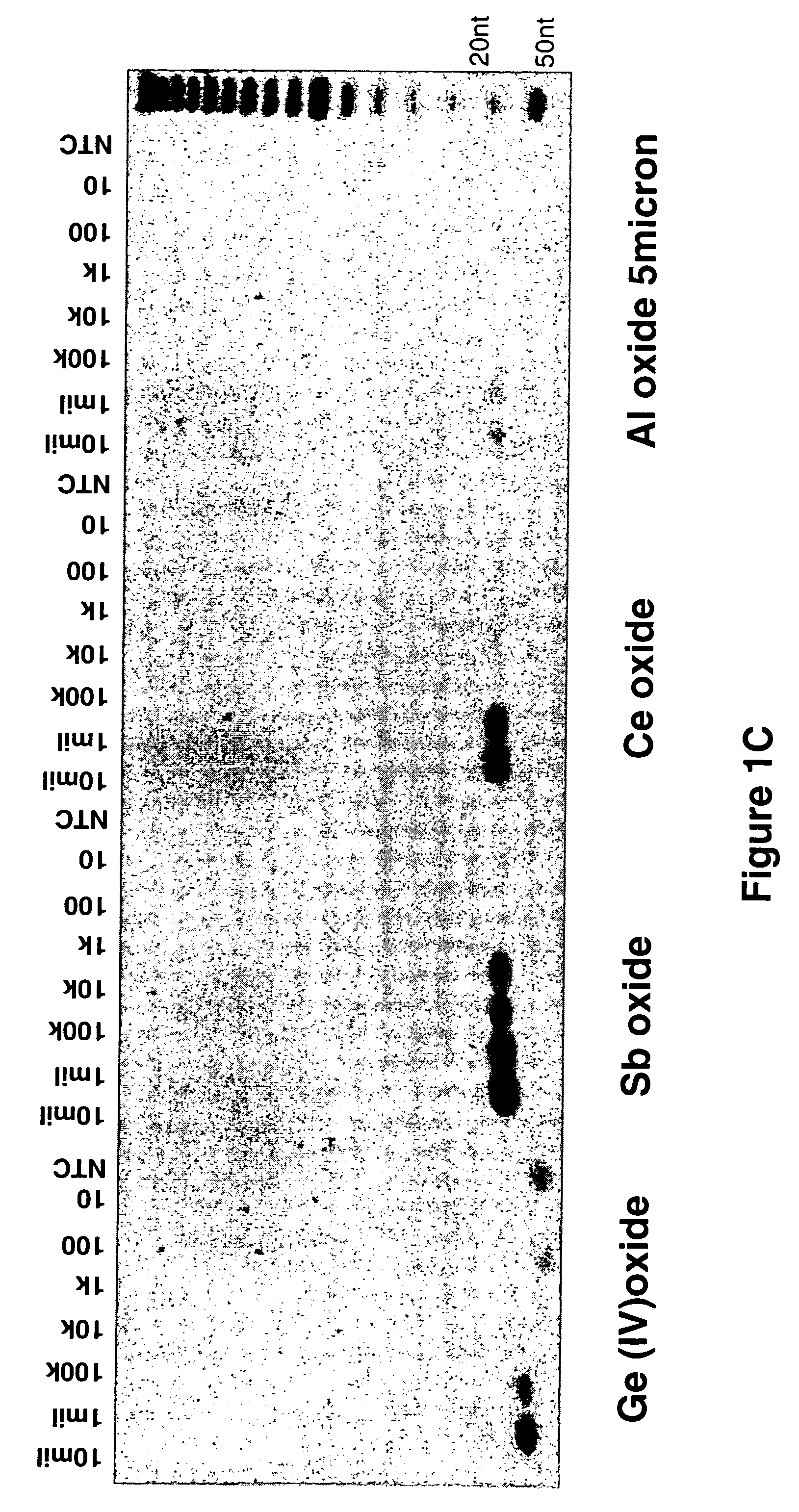 Methods, compositions, and kits for detecting nucleic acids in a single vessel