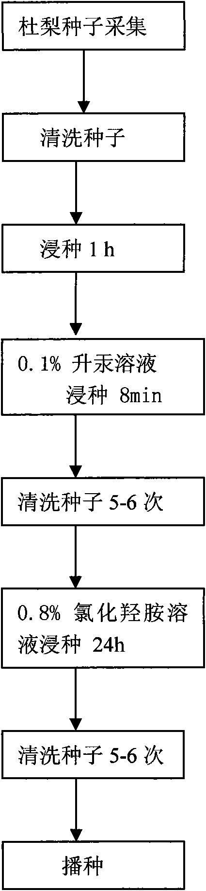 Method for quickly breaking dormancy of birch-leaf pear seeds with hydroxylamine chloride