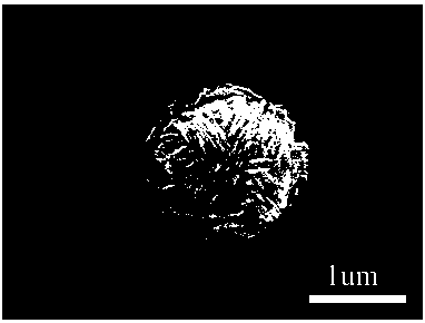 Preparation method of hydrogel medical dressing for promoting wound healing