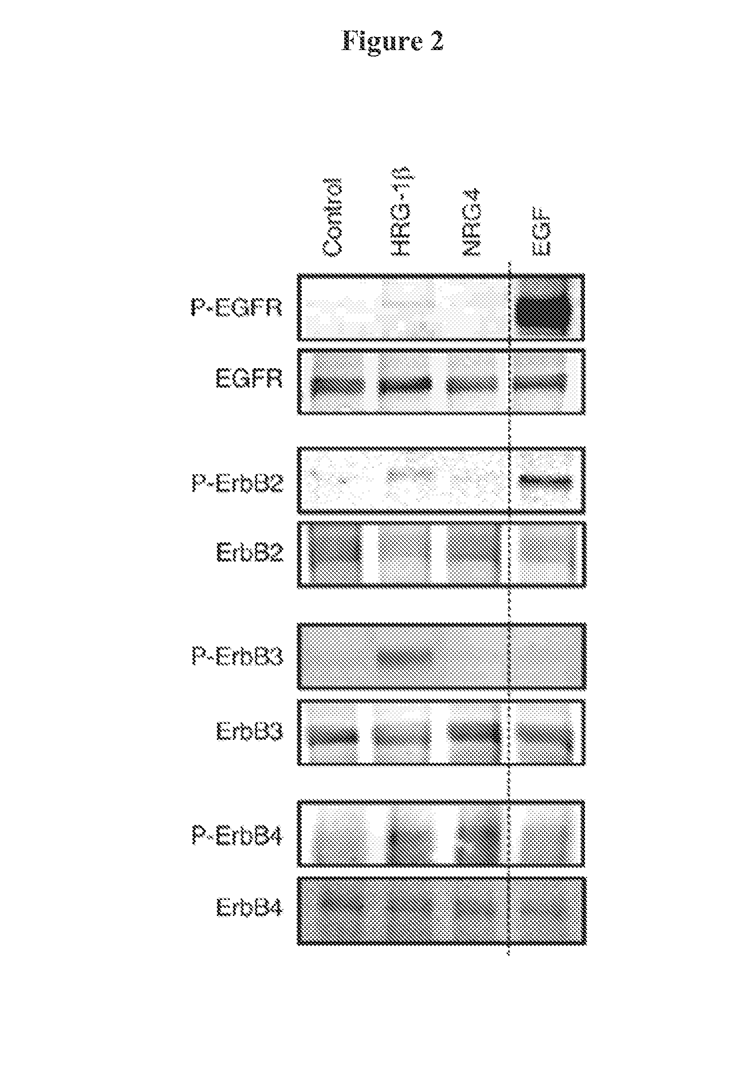 Use of neuregulin-4 for treatment of inflammatory bowel disease and necrotizing enterocolitis