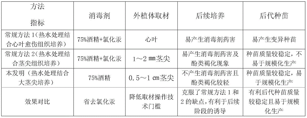 Preparation method for aseptic explant of virus-free seedcane of sugarcane