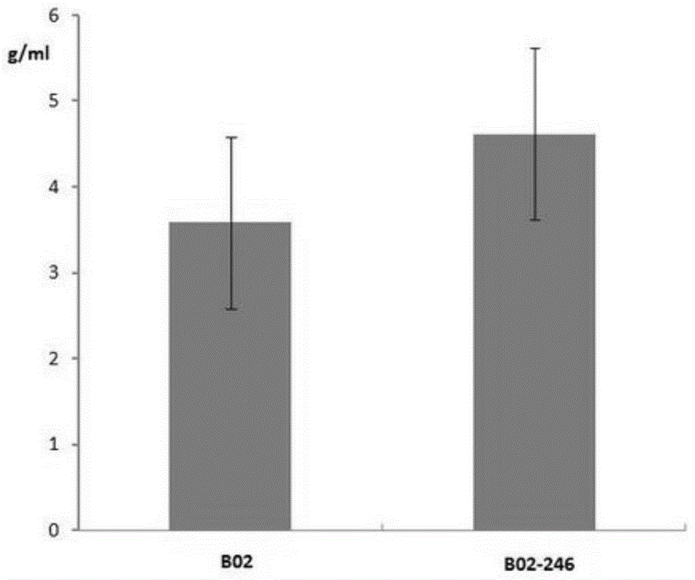 A strain of Streptomyces clavulatum with high activity clavulanate aminoacetylase and its application