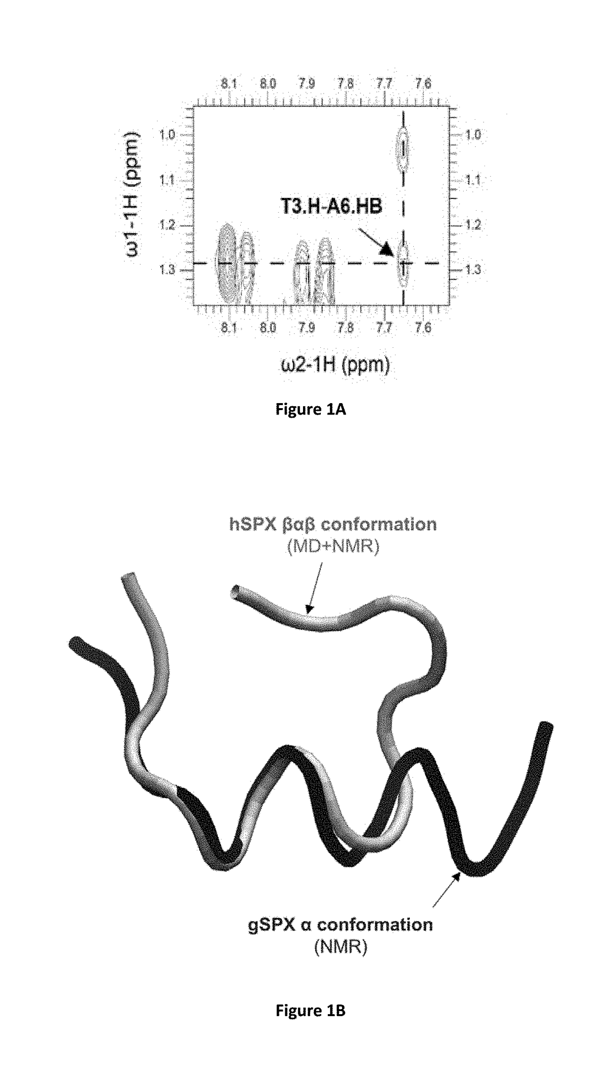 Identification of Cyclic Peptide Agonists of Galanin Receptor 2 and 3 Guided by Spexin Solution Structure