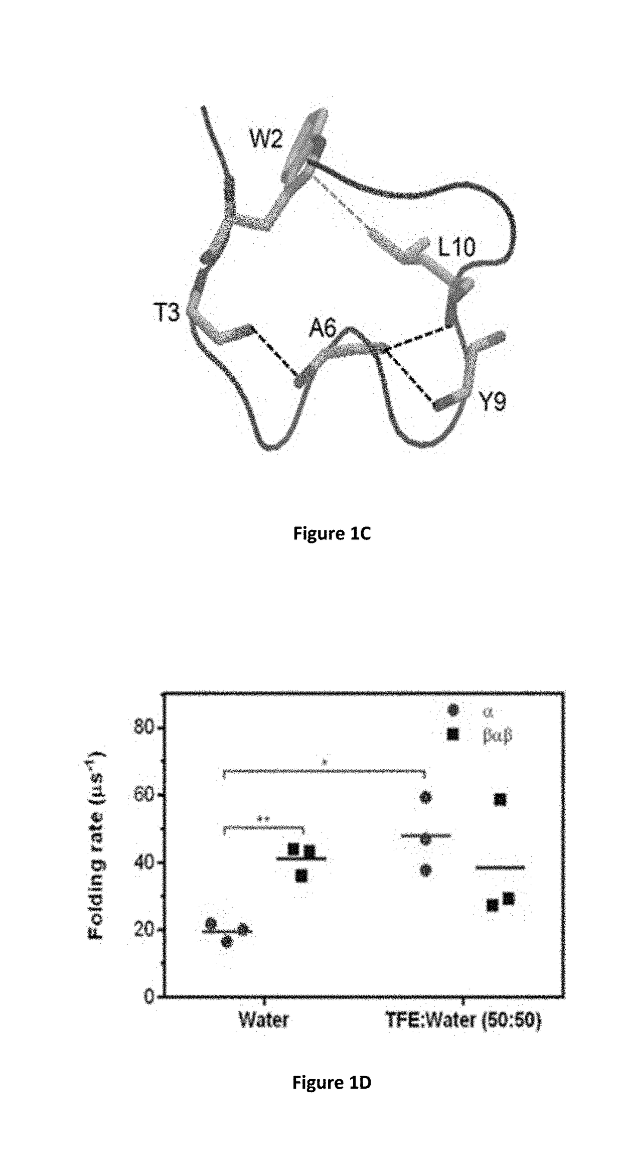 Identification of Cyclic Peptide Agonists of Galanin Receptor 2 and 3 Guided by Spexin Solution Structure