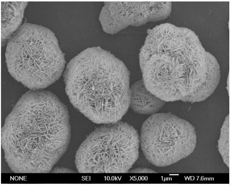 Improved preparation method of large single crystal layered positive electrode material for lithium ion battery