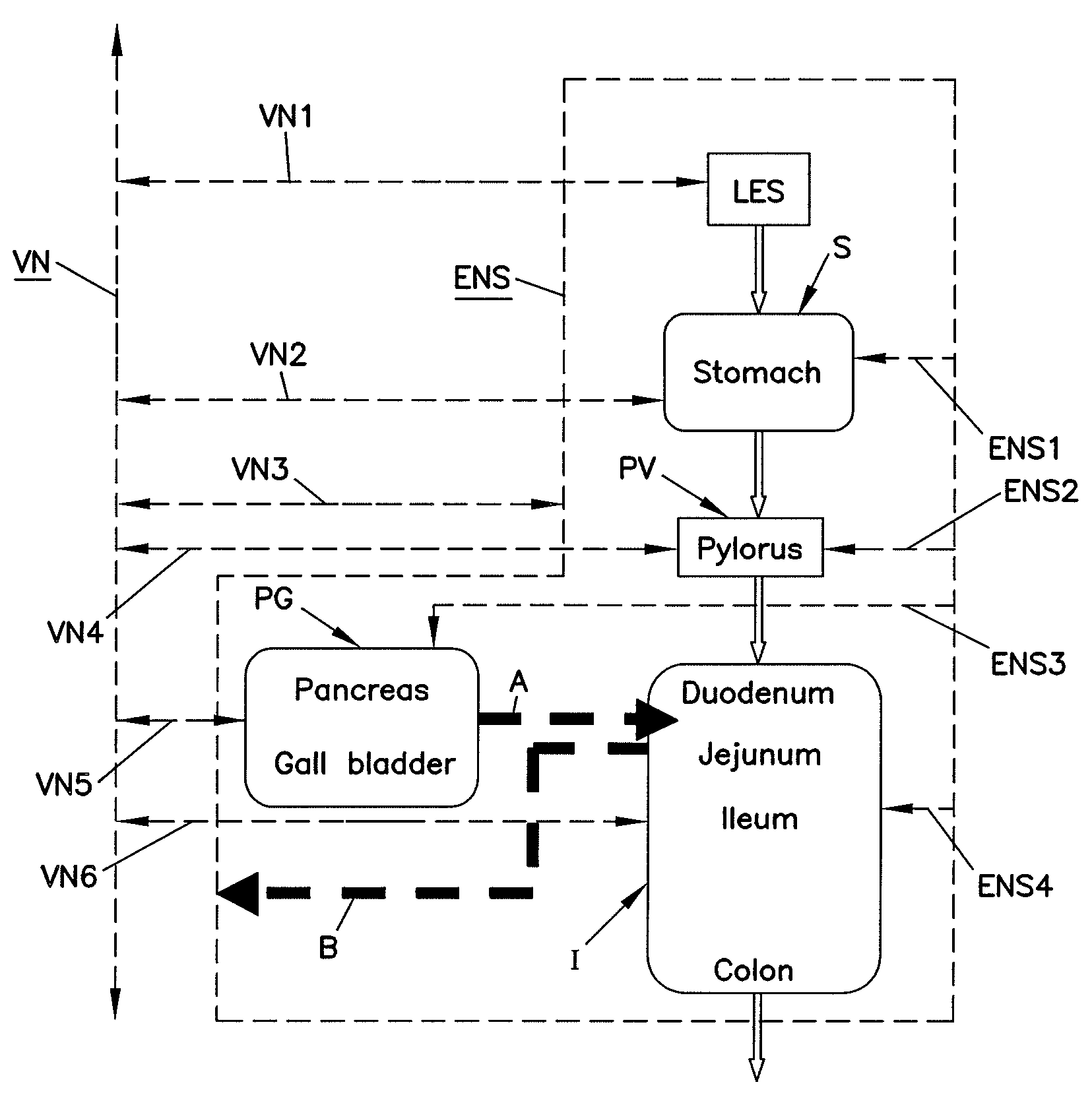 Methods and systems for glucose regulation