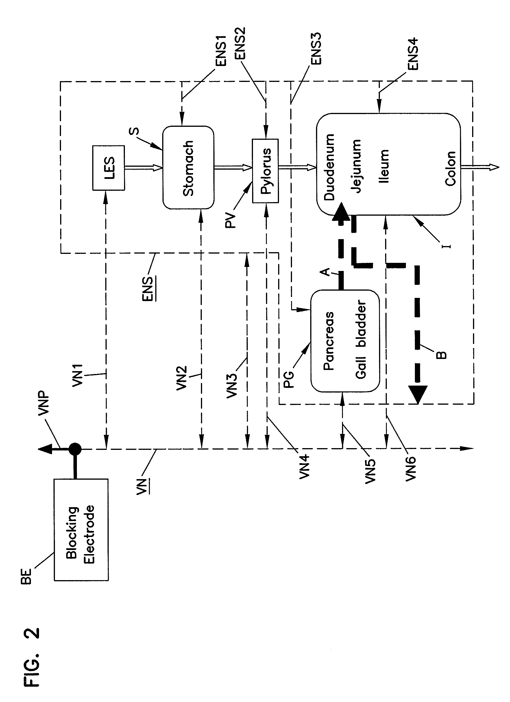 Methods and systems for glucose regulation