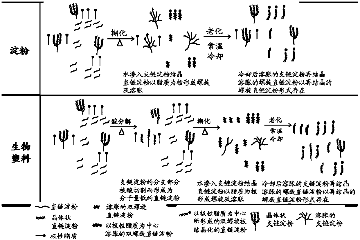 Molded coal and manufacturing method therefor