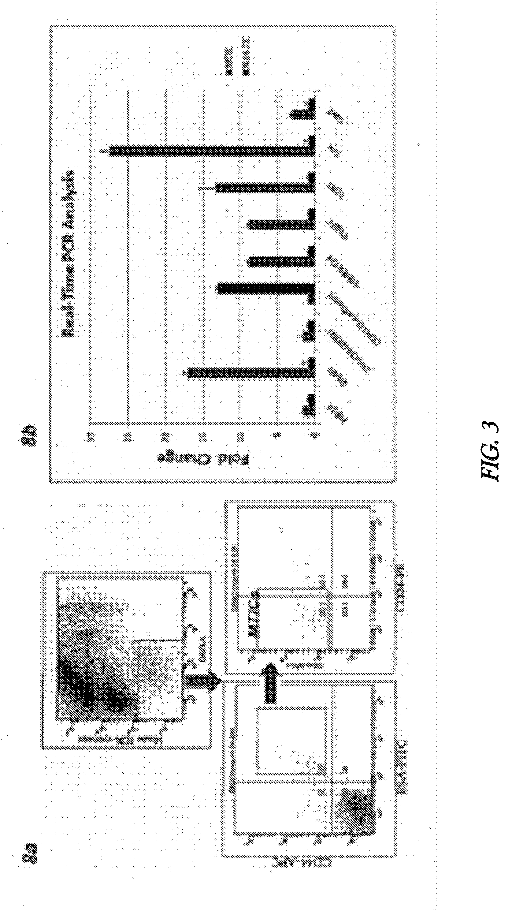 Methods and systems for analysis of single cells