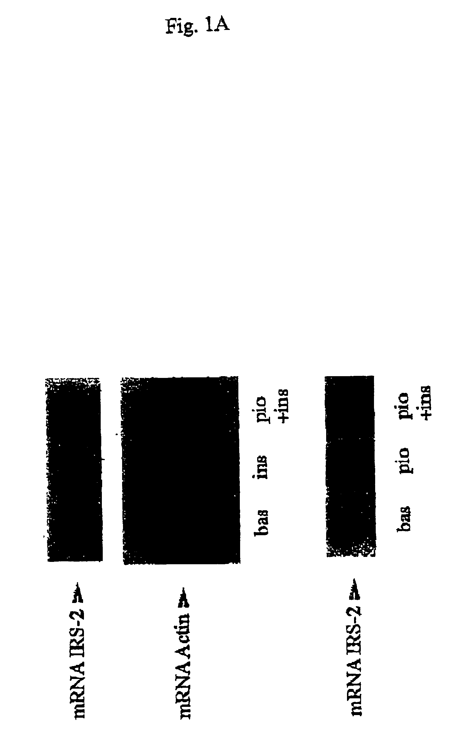 Sequences and their use