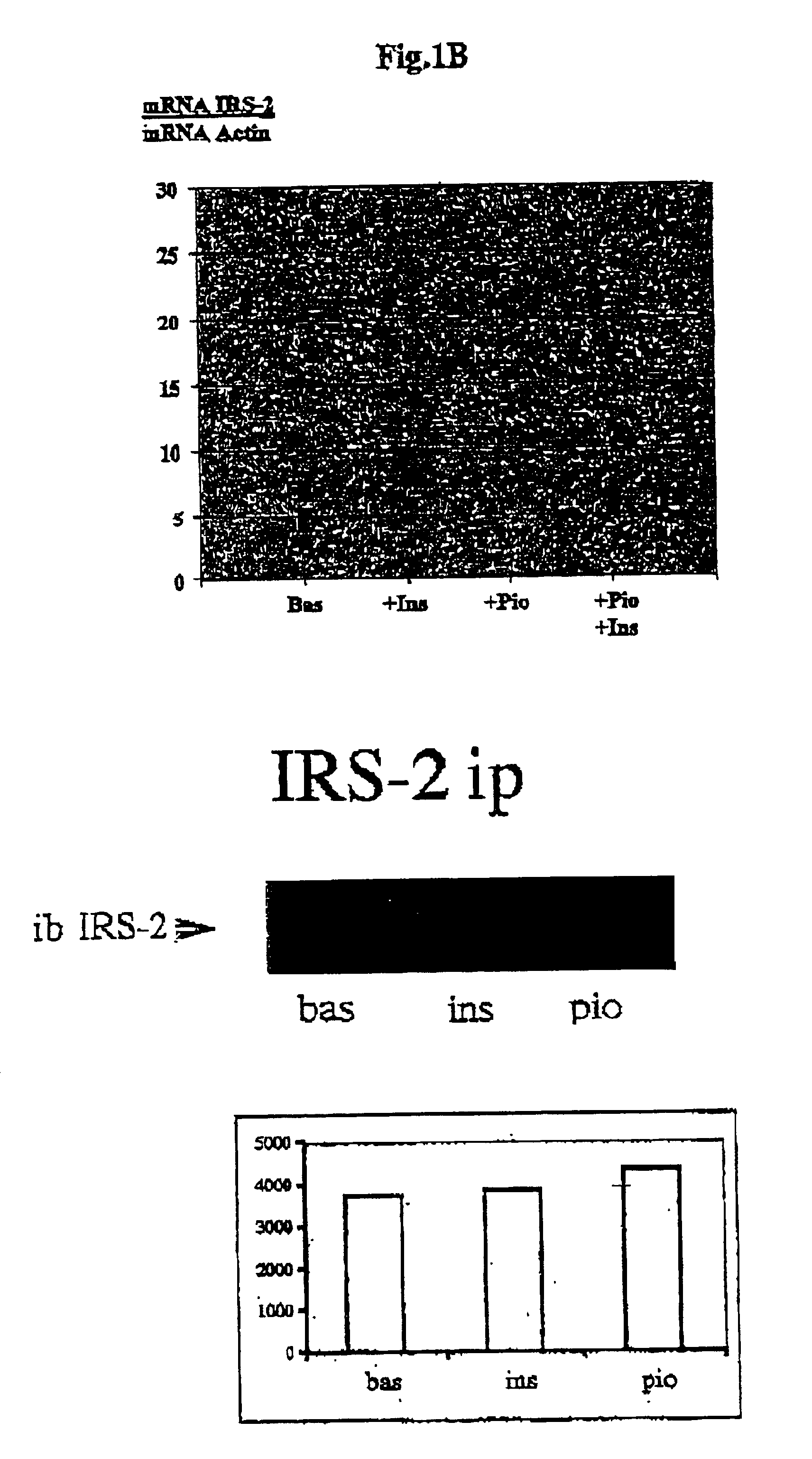 Sequences and their use