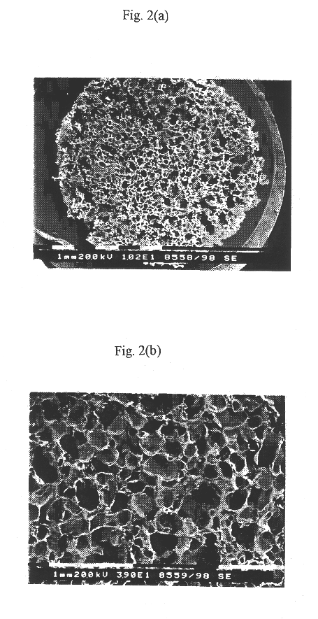 Preparing porous biodegradable polymeric scaffolds for tissue engineering using effervescent salts