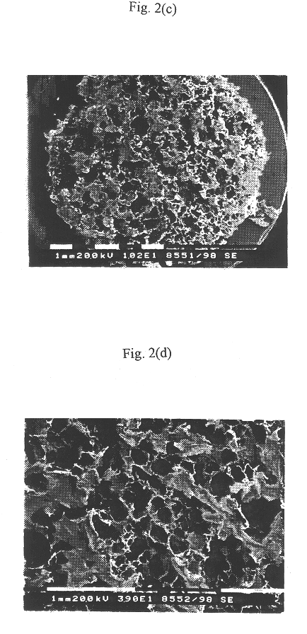 Preparing porous biodegradable polymeric scaffolds for tissue engineering using effervescent salts