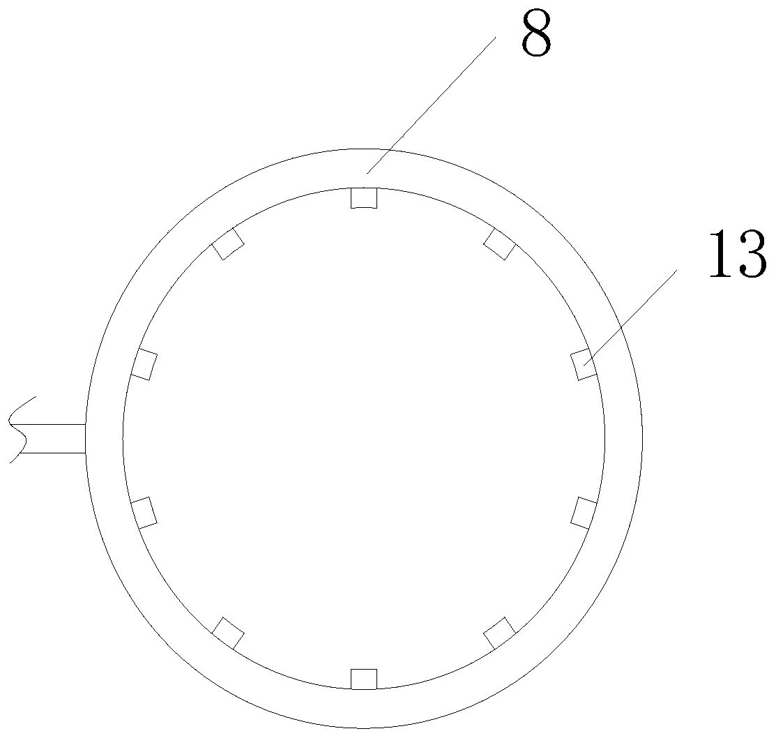 Liquid ammonia evaporator for flue gas denitration