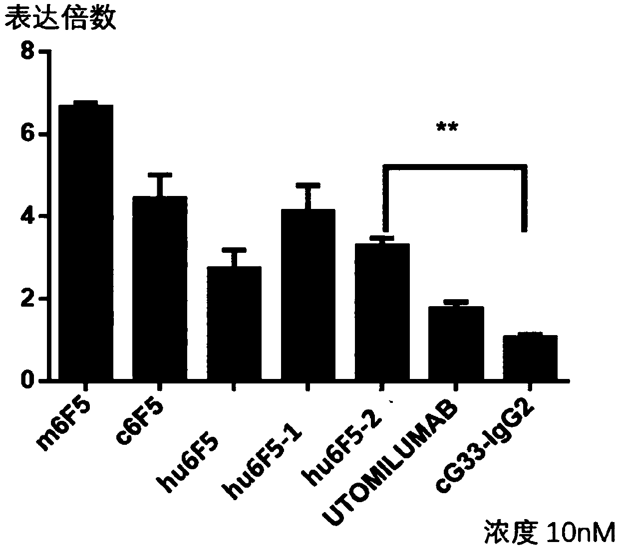 CD137 antibody and application thereof