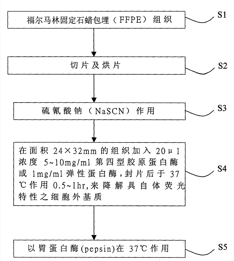 Specimen pretreatment method for reducing auto-fluorescence interference in FISH (fluorescence in situ hybridization) and reagent kit therefor