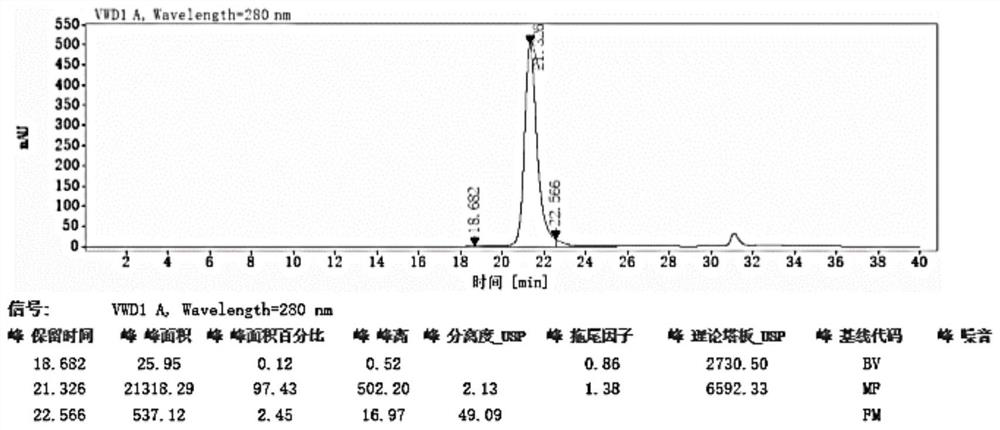 Homodimeric bispecific antibodies against cd19 and cd3, and preparation methods and uses thereof