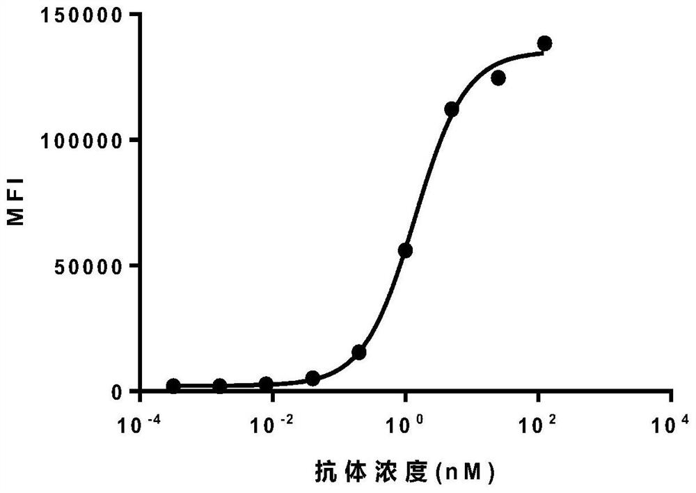 Homodimeric bispecific antibodies against cd19 and cd3, and preparation methods and uses thereof