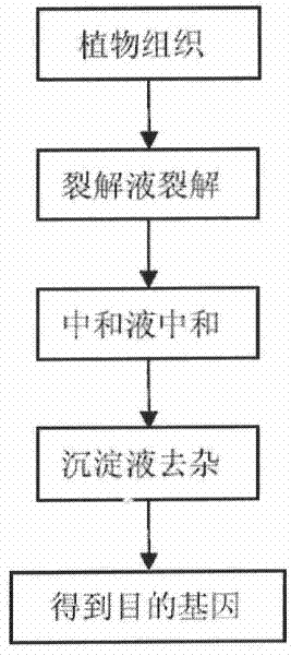 Kit for quickly extracting plant genome and applications thereof