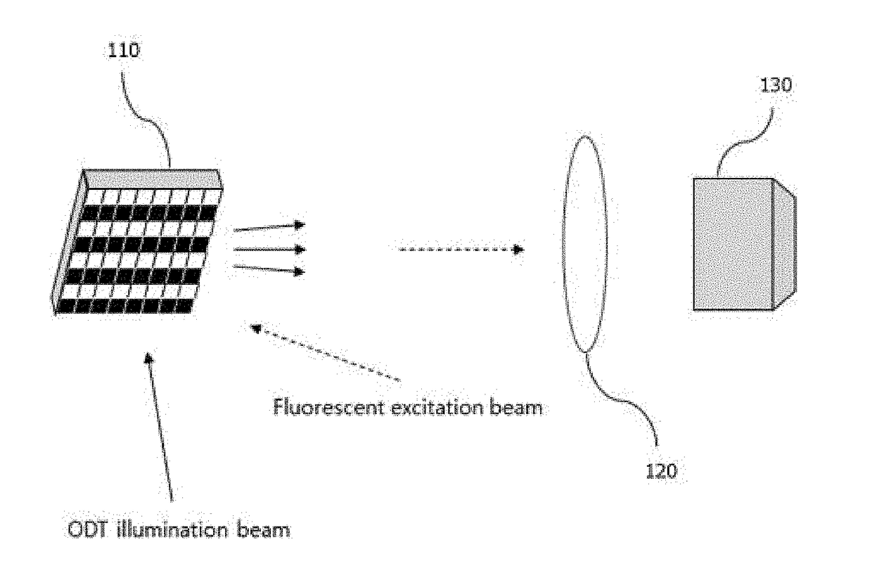 3D refractive index tomography and structured illumination microscopy system using wavefront shaper and method thereof