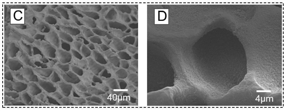 A kind of biomass water treatment agent based on porous coffee grounds and preparation method thereof