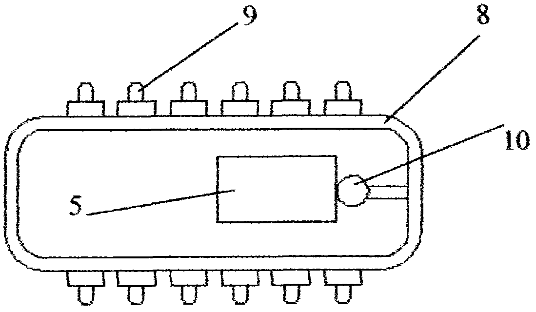 Animal incubator and production method thereof