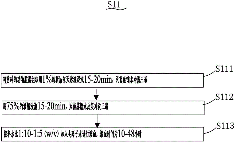 Method for preparing animal viscera micro-molecule polypeptide through complete physical method