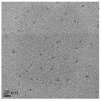 A preparation method of amphiphilic hyperbranched molecular modified nanofluid