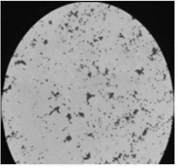 Preparation and application of continuous cropping peanut resistant complex bacteria