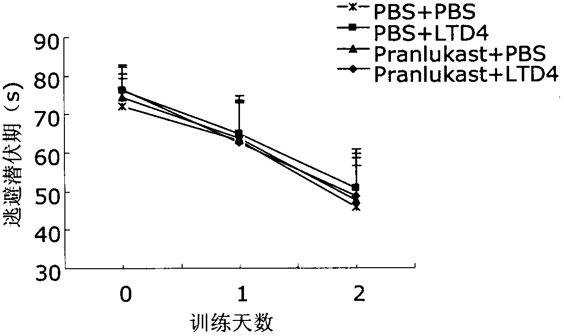 Applications of 1 type cysteinyl leukotriene receptor antagonist on preparation of medicament for treating the Alzheimer disease