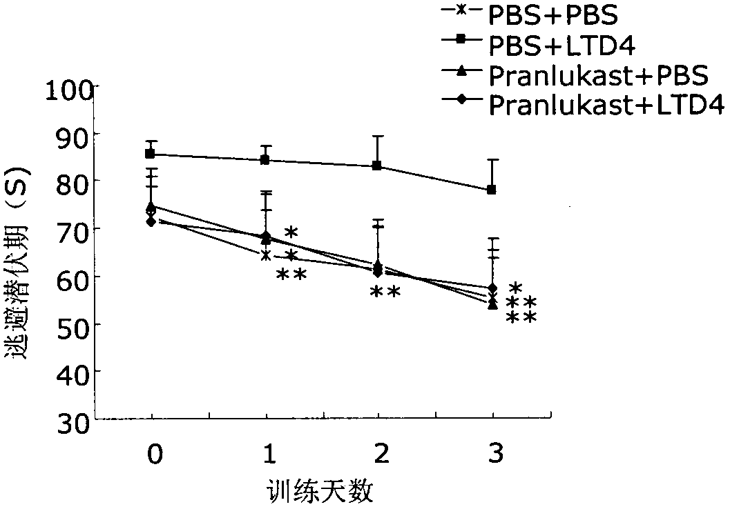 Applications of 1 type cysteinyl leukotriene receptor antagonist on preparation of medicament for treating the Alzheimer disease