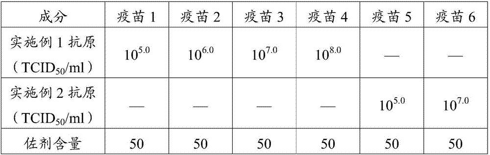 Vaccine composition preventing porcine reproductive and respiratory syndrome, preparation method and application thereof