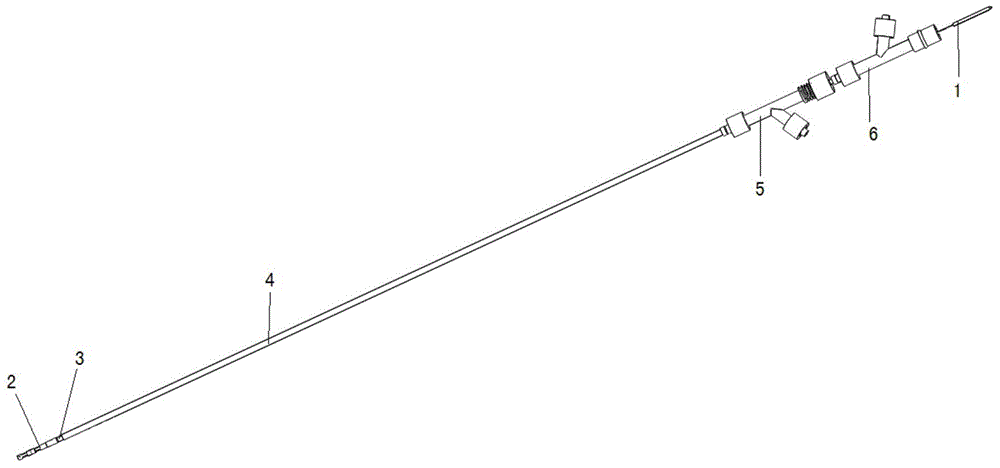 Local circulation type thrombus removing device