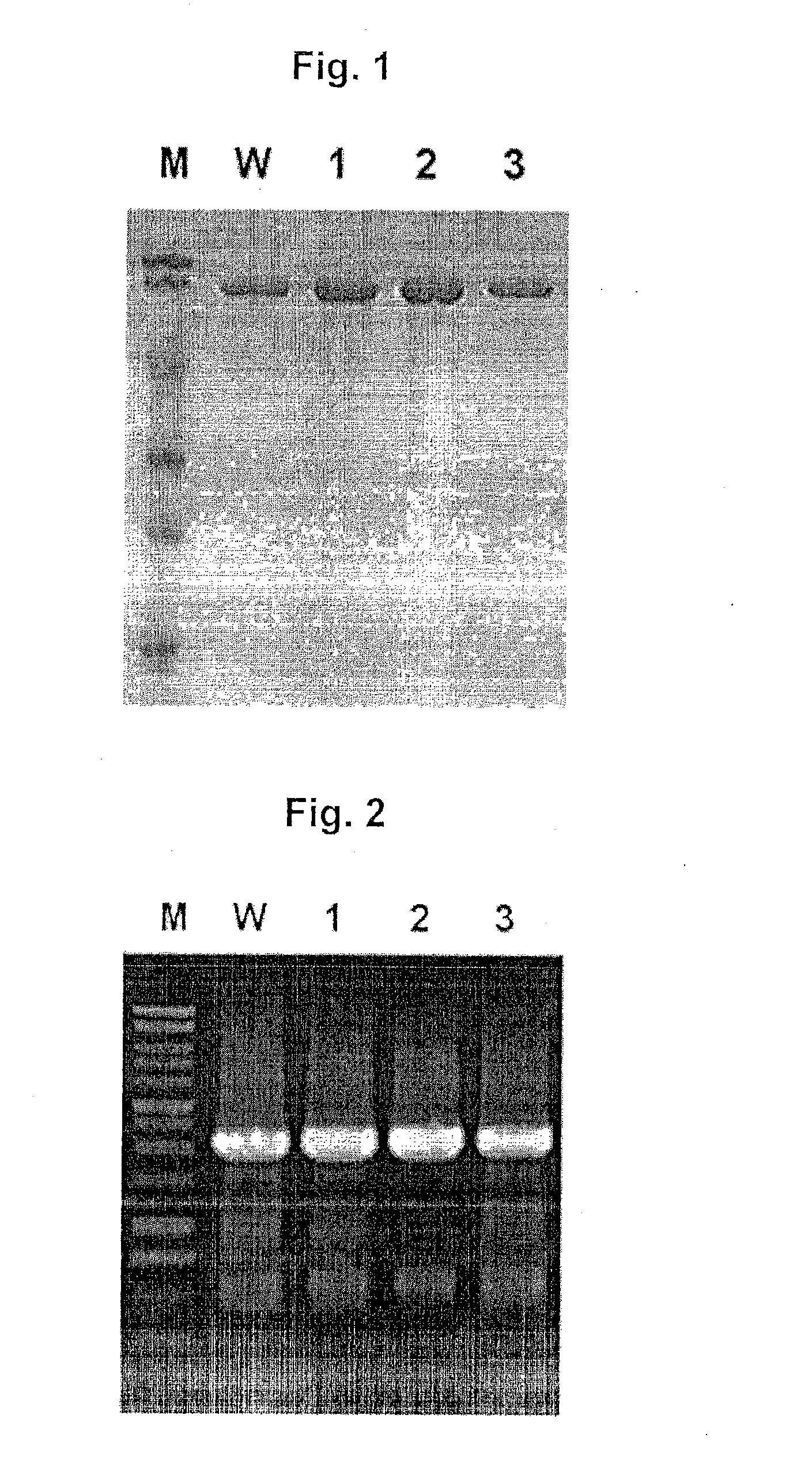 Mutant DNA polymerases and their genes