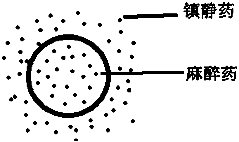 Pharmaceutical composition, and preparation method and use thereof