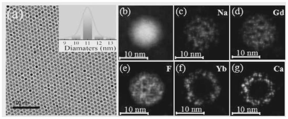 Anti-counterfeiting label material with negative thermal quenching effect and its preparation method and application