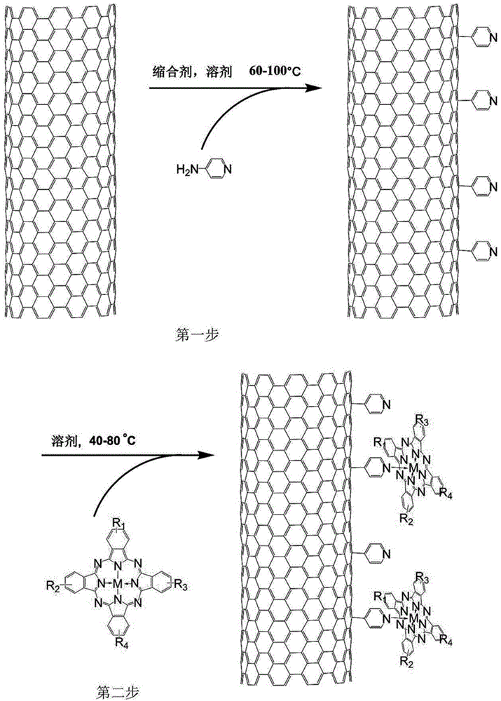 Biomimetic catalytic carbon fiber and preparation method thereof