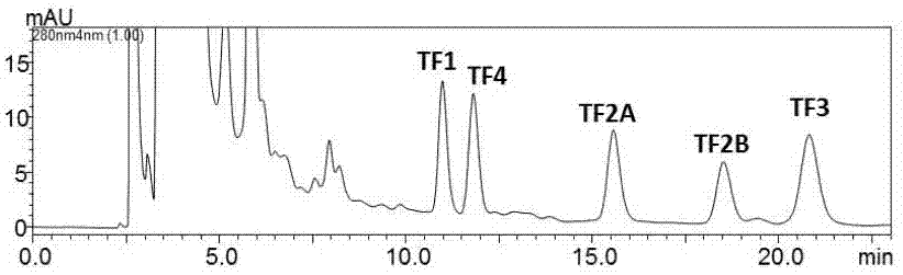 Preparation method of theaflavin composite