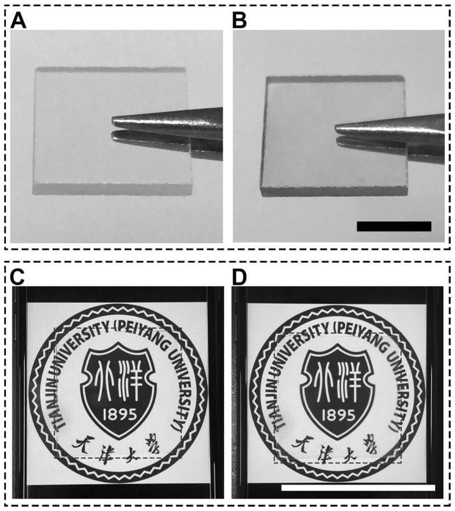 A red phosphorus/zinc oxide heterojunction film using screen LED photocatalytic disinfection, preparation method and application