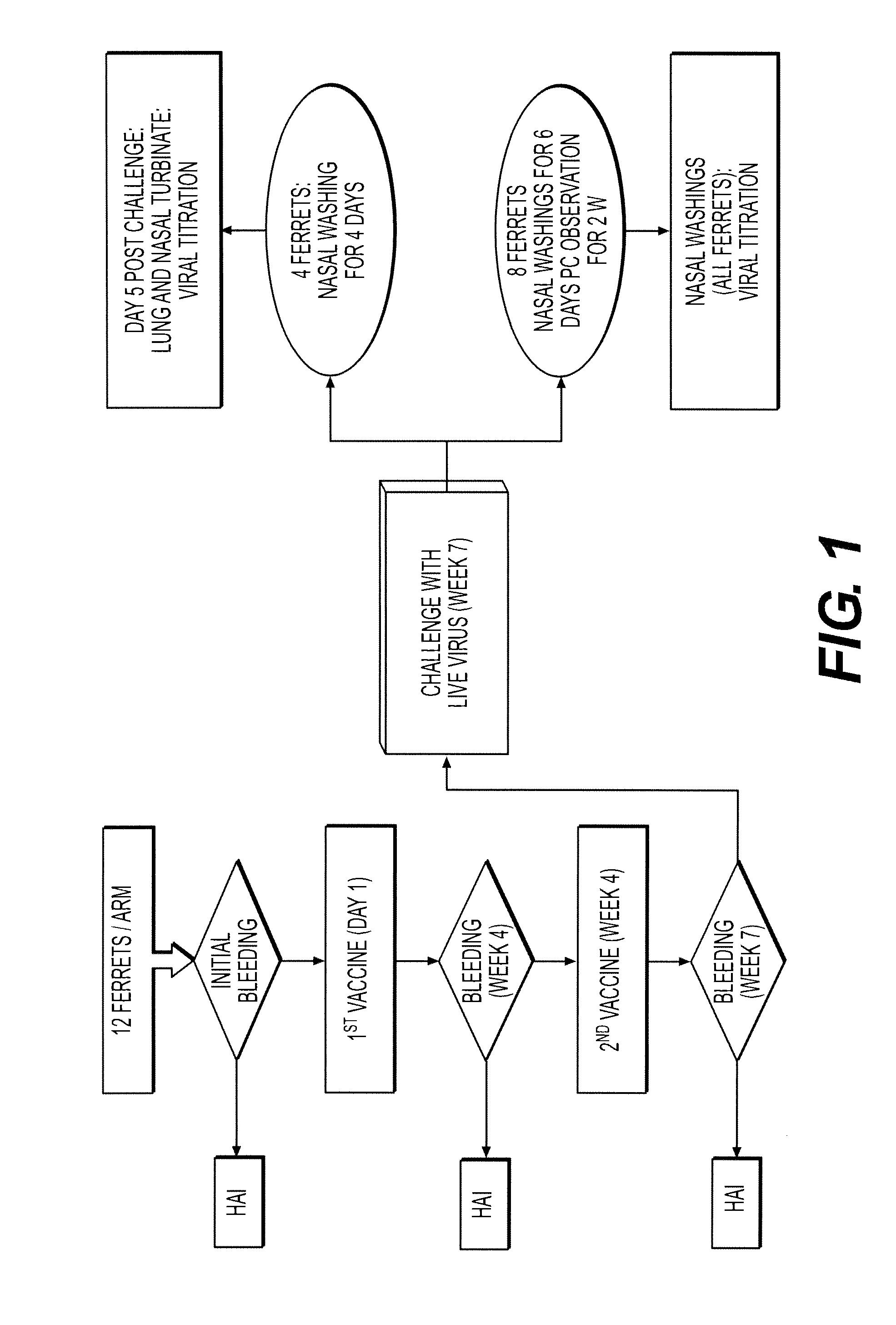 Nanoemulsion influenza vaccine