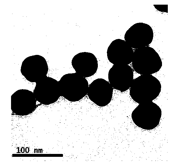 Gold nanoparticle monofilm preparation method and device thereof