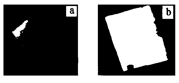 Gold nanoparticle monofilm preparation method and device thereof