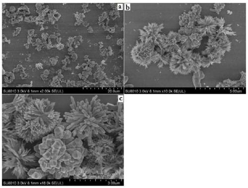 Common mussel powder for effectively decreasing activity of aflatoxin and preparation method of common mussel powder