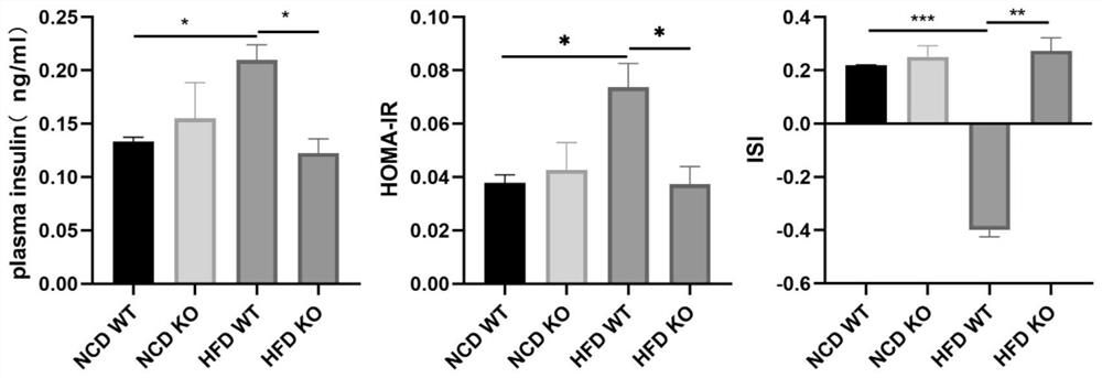 Application of GMFB as insulin resistance biomarker