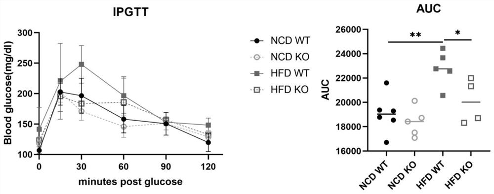 Application of GMFB as insulin resistance biomarker