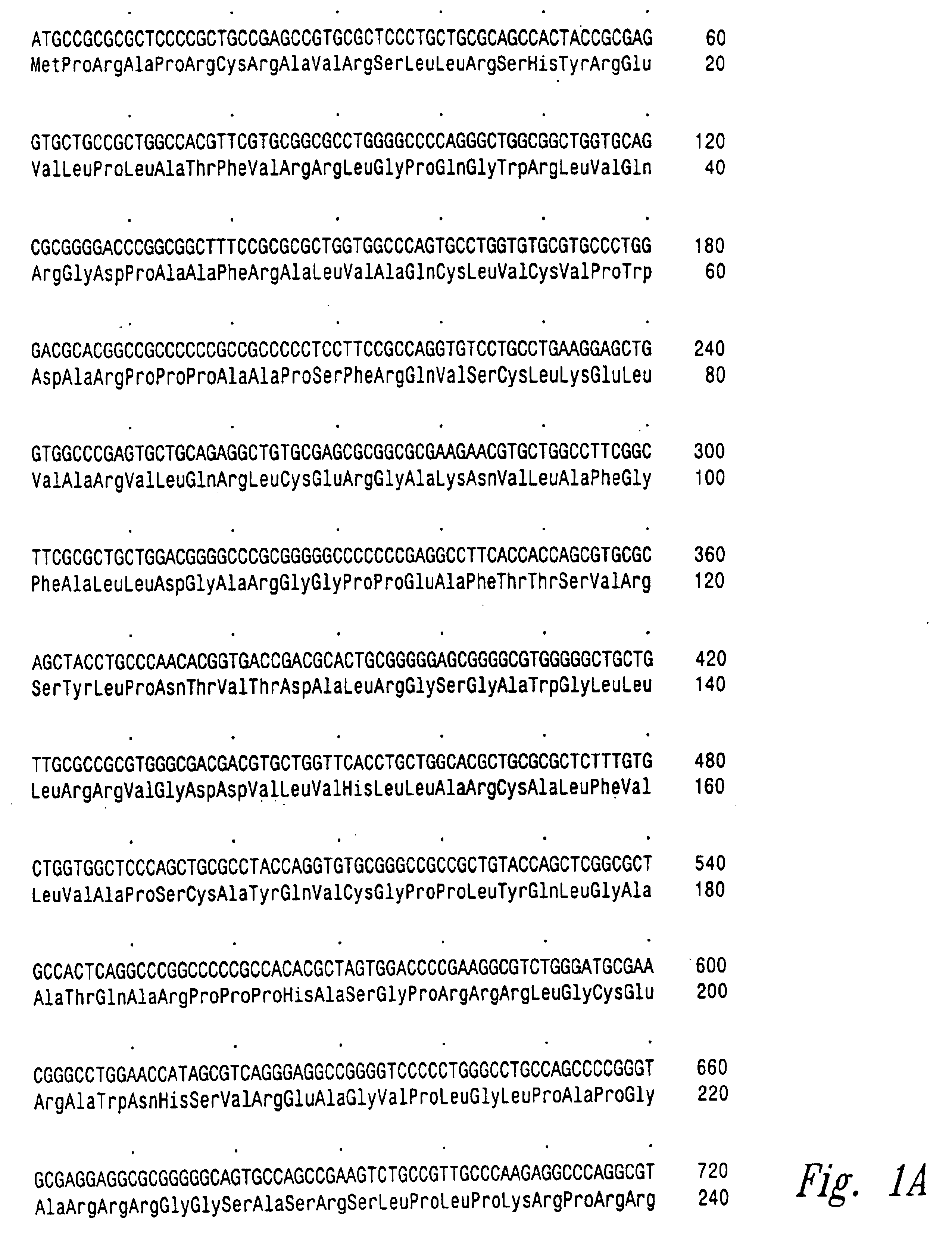 Vertebrate telomerase genes and proteins and uses thereof