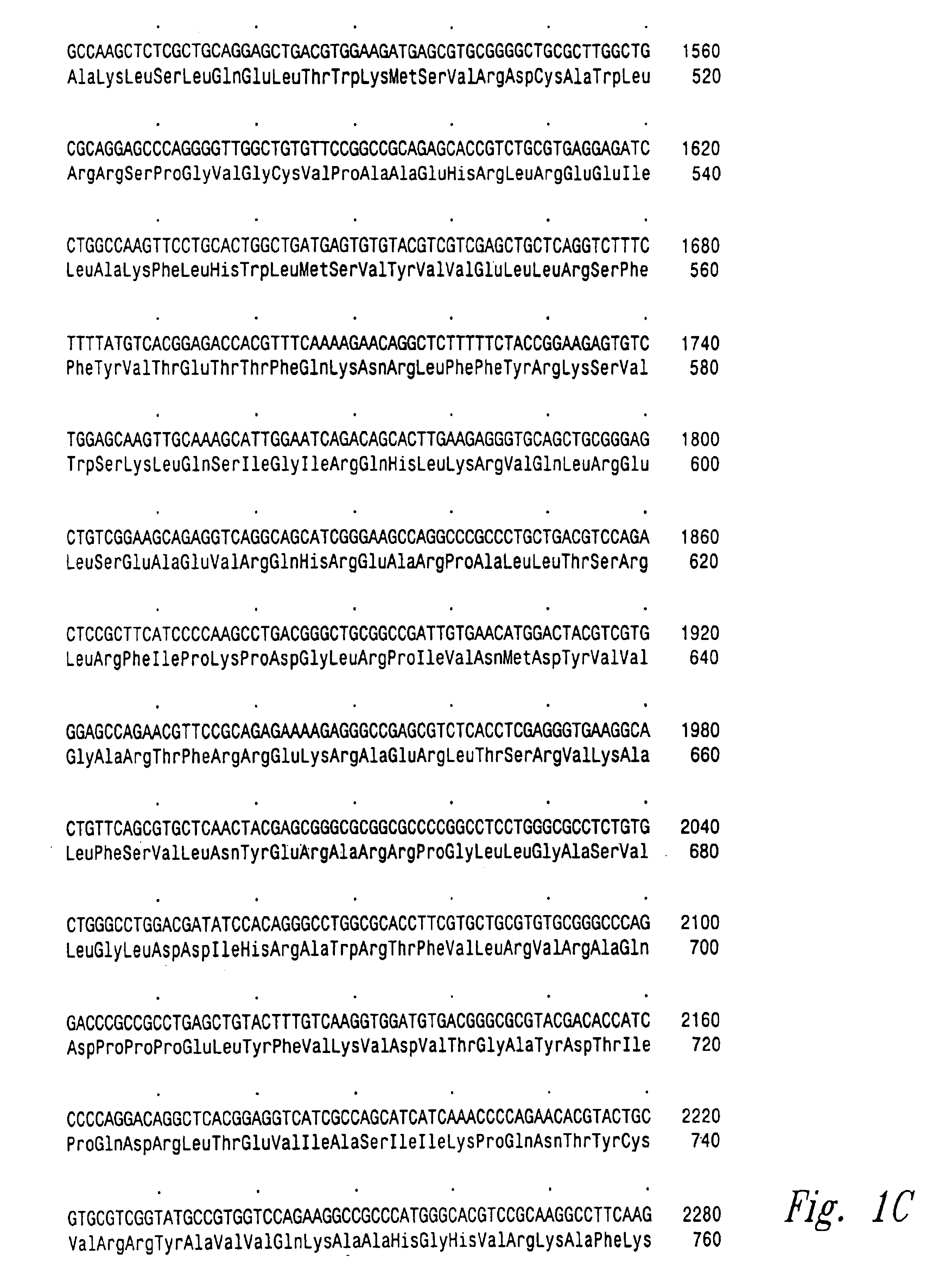 Vertebrate telomerase genes and proteins and uses thereof