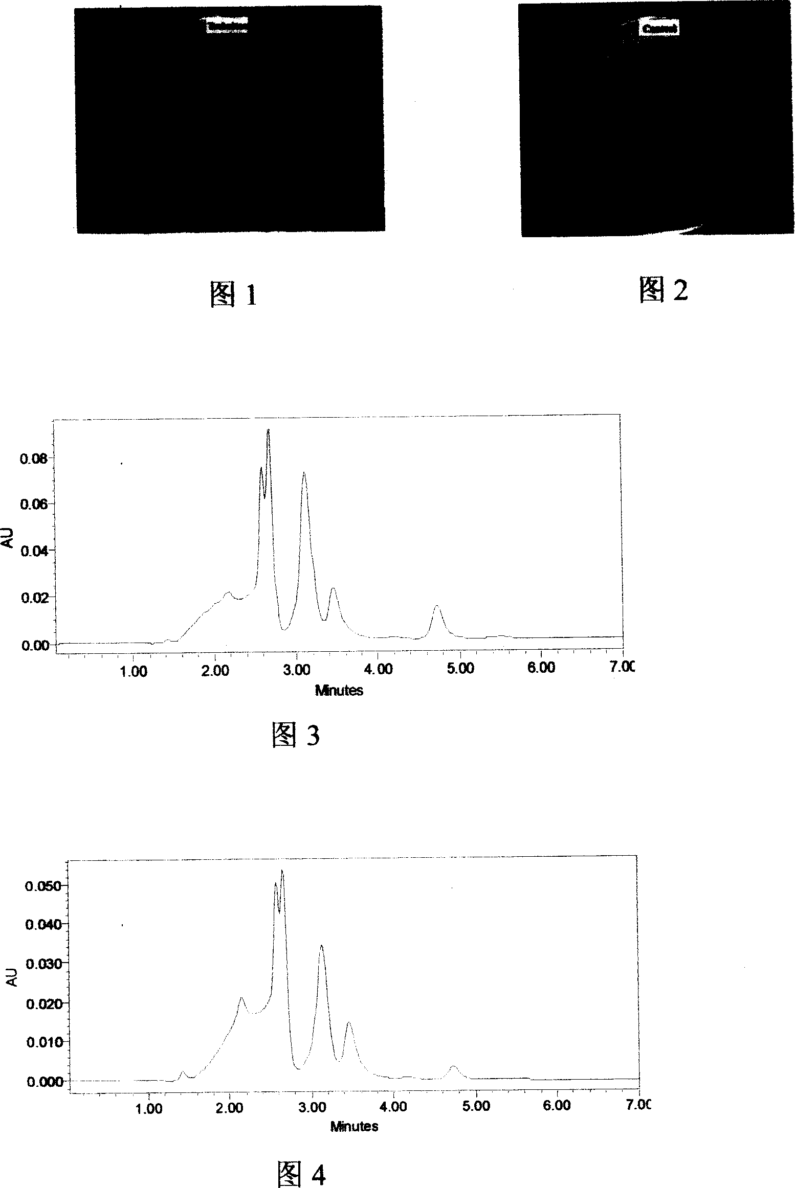 Low temperature conservation method for Chinese mushroom strain